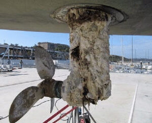 galvanic corrosion to saildrive